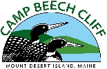 Organization logo