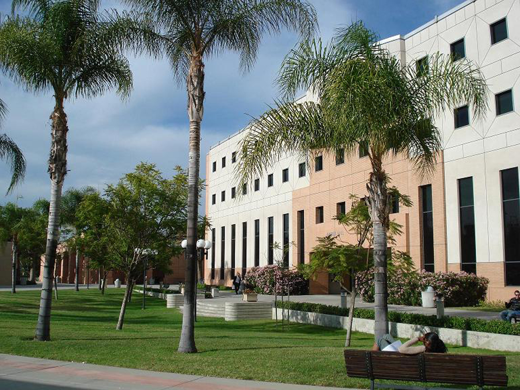 Cal State Northridge Mba Programs