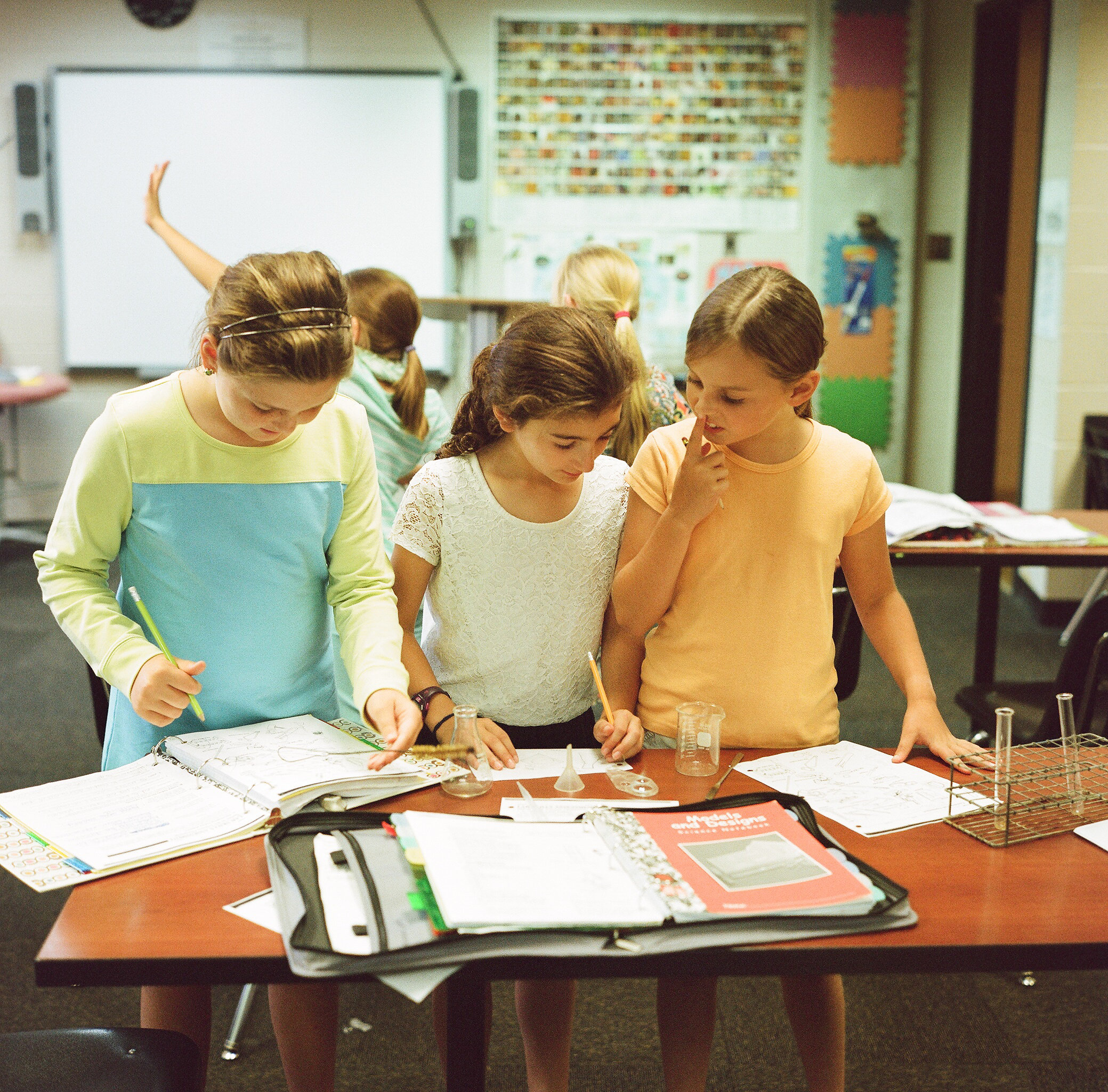 The Altamont School Schools Noodle